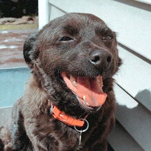 Meet your Posher, Callia